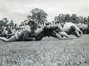 Suriname Kop schouder stand